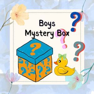 20 pc Boys Mystery Box Mixed Sizes Youth Kids Shirts Jeans Jackets Shorts Tops